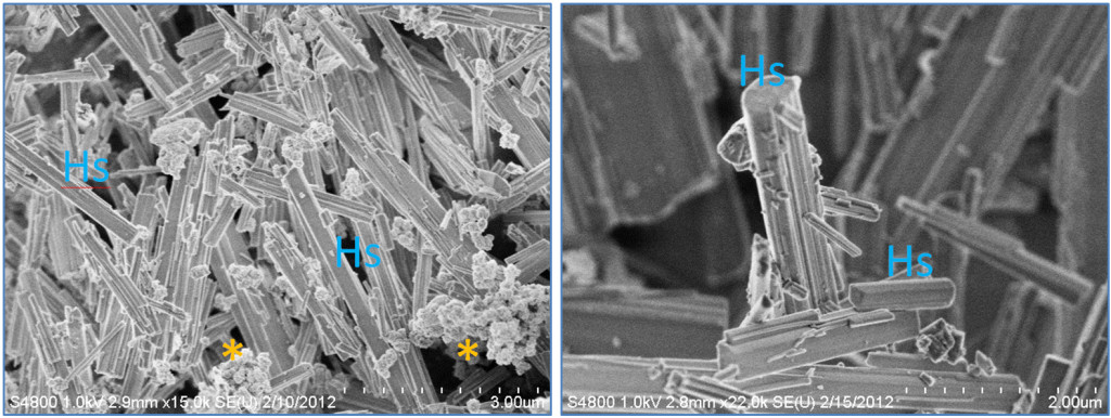 Fig.2. Nano- and Micro-scale features of discovered new synthesis for high-aspect ratio structure (HARS) biocomposites. Both panels show scanning electron microscopy images. Left panel= HARS generated from copper nanoparticles (CuNPs) and right panel= HARS generated from Copper sulfate. Scale bars in bottom right of each figure are 3 and 2 microns, with each gradation= 300 and 200 nanometers for left and right panels, respectively. The “*” symbol indicates clumped CuNPs, and “Hs” indicates example HARS. (Modified from the original publication by Cotton Kelly et al. in JOVE 2015).