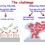 Nanomaterials as promising alternative in the infection treatment