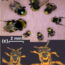 复杂的监管和功能意义of size diversity in social bees