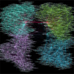 《超能。Hidden Geometry of Human Connectomes: a key to higher-order Brain functional differences