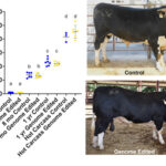 AoS. Is milk and meat from the offspring of a bull genome edited to have no horns safe to eat?