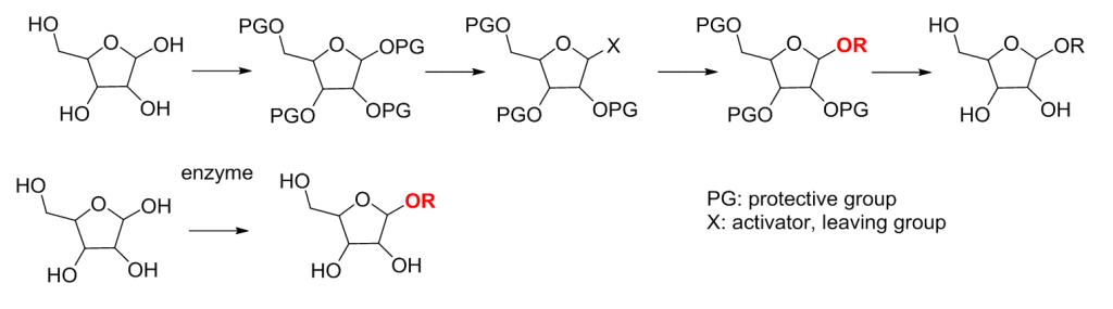 Scheme 1. Comparison of glycosylations by enzymes and by chemists