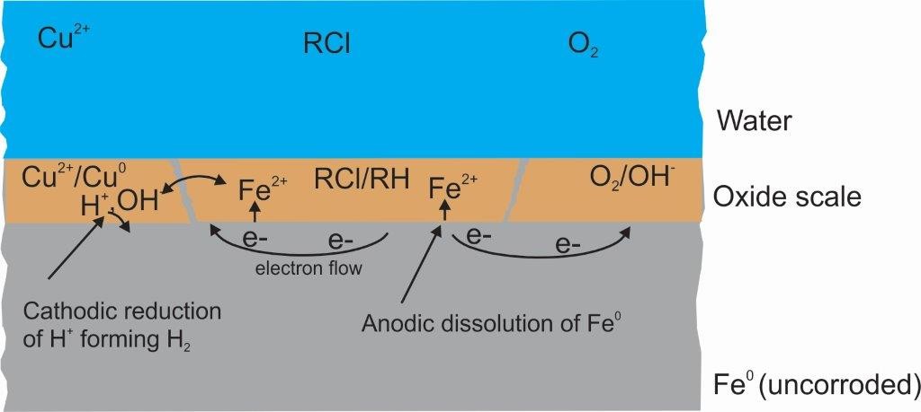 图1,Fe0/H2O系统概述，标记与污染物去除相关的关键特征。腐蚀开始于产生Fe2+的地方(阳极)。Fe2+进入水溶液，留下的两个电子迁移到另一个位置(阴极)，在那里它们被水解离产生的H+所吸收(H2OH+ + OH-)。生成的氢氧根离子(OH-)与Fe2+反应，最初形成沉淀的水合氧化铁(Fe(OH)2)。根据不同的环境条件，Fe(OH)2被氧化转化为各种FeII/FeIII氧化物，形成氧化垢。铁(OH)2形成和转化的动态过程理想地持续到Fe0耗尽为止。