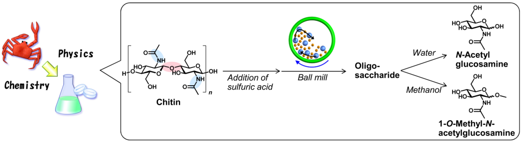 图1所示。利用化学和物理力量将几丁质转化为单体。粉红色部分:糖苷键。淡蓝色部分:酰胺键。