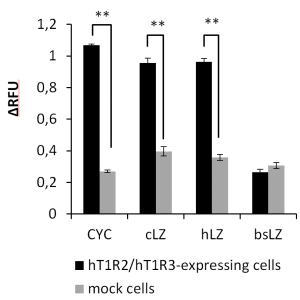 图2所示。表达人类甜味受体的细胞对溶菌酶的反应。赛、环己基氨基磺酸;cLZ，鸡溶菌酶;hLZ，人溶菌酶;牛胃溶菌酶。