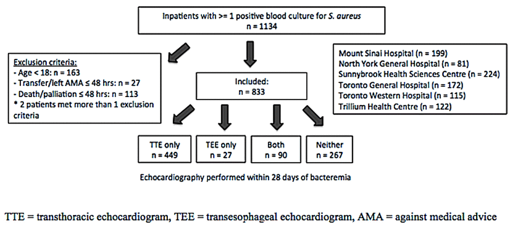 Fig. 1. Flow diagram of patients with Staphylococcus aureus bacteremia including type of echocardiography performed