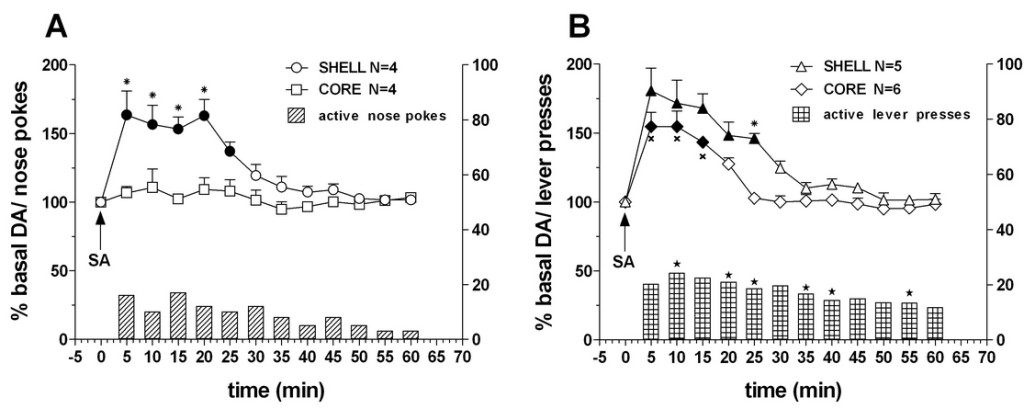 Fig. 1. Time-course of dialysate DA in the NAc shell and core and active nose-pokes (A) or lever presses (B) (bars, means of shell and core group) under FR1 nose poking or lever pressing for sucrose. Data are means ± SEM of the results, expressed as a percentage of basal, obtained in the number (N) of rats indicated in the figure.