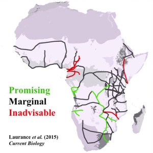 An assessment of Africa’s proposed and ongoing ‘development corridors'.