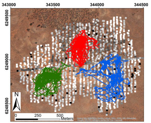 Fig. 2. An aerial photo of the study site with locations of ground survey quadrats in grey-scale colors reflecting their refuge rank (black being the highest) and three examples of lizard tracks.