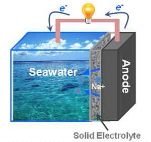 图1所示。本文提出了海水电池的设计方案。如图所示，在电化学放电时，Na从阳极释放出来，与海水阴极的水和氧反应生成氢氧化钠。这个过程为动力提供能量，例如，电动汽车。