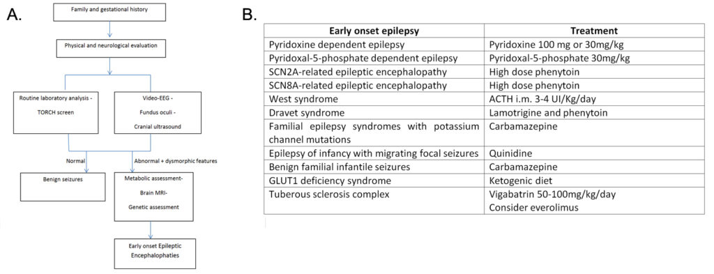 clinical assessment in infant with early onset seizures