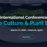 manbetx登录下载阿特拉斯的科学。国际植物组织培养与植物生物技术会议“，