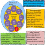 Mitochondrial Dysfunction In Autism Spectrum Disorder. AoS