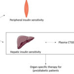 type 2 diabetes. AoS