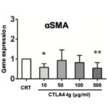 Circulating fibrocytes as possible new target. AoS