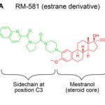 Chemical representation of aminosteroid derivative. Atlas of Science