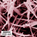 AoS. SEM image of ZnSnO3 nanowires.