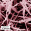 Sustainable ZnSnO3 nanowires produced by a low-cost solution process