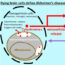 Extracellular cytochrome c: a novel damage-associated molecular pattern (DAMP) of the brain