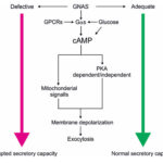 AoS. Novel genetics approach identifies GNAS gene.