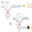 Orexin signaling promotes initial alcohol consumption