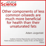 AoS. Other components of less common oilseeds