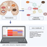 《超能。RNA signature in brain lesions of damage or repair in Multiple Sclerosis and the MS-Atlas