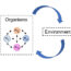 Feedback between organisms and the environment shape biodiversity