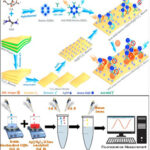 AoS. Ti3C2-MXene based fluorescent biosensor for rapid detection of lung cancer biomarker