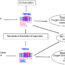 If you are cold, what two cold-sensitive ion channels TRPM8 and TRPA1 do?