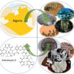 AoS. Actinobacteria from Algerian ecosystems as a rich source of bioactive molecules