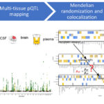 AoS. Deep Molecular Profiling to understand the biology of Alzheimer disease