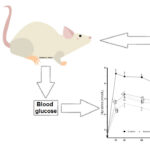 AoS. A mixture of plant extracts attenuates postprandial glycemia