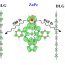 Layer-dependent fast electron transfer at the Zn-phthalocyanine-few-layer graphene interface: theory explains