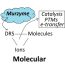 Murburn concept explains why oxygen is acutely needed to sustain life