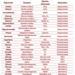 Different enzymes commonly used in biosensors