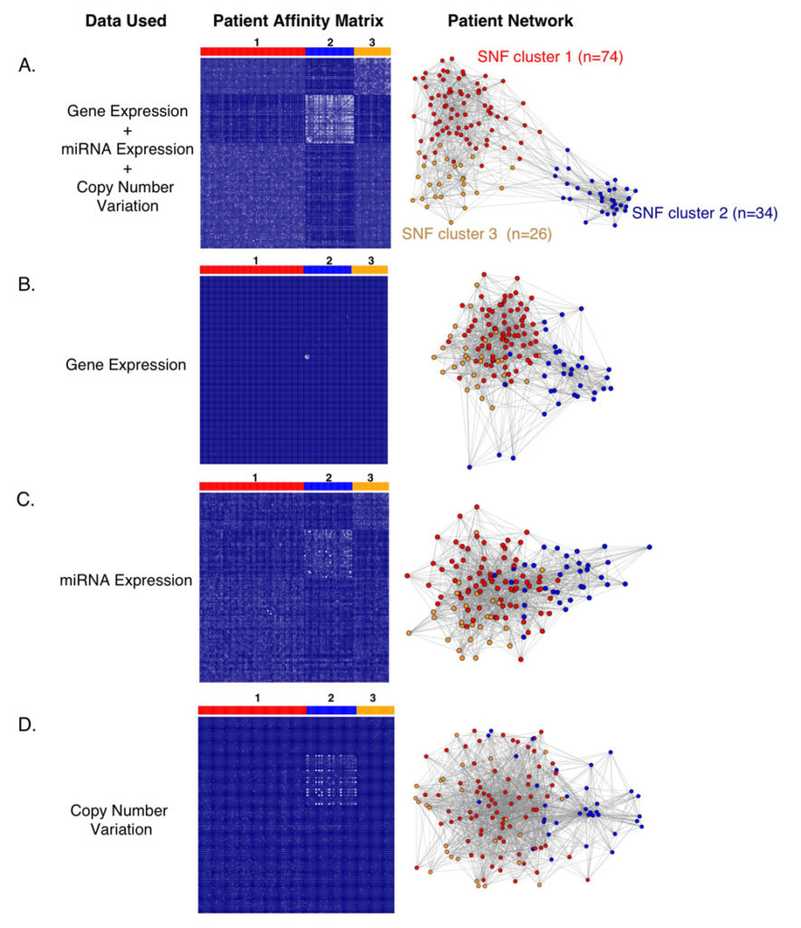 Integrative clustering of patient tumors. Atlas of Science
