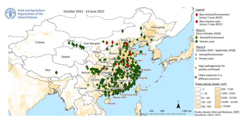 Distribution of Avian Influenza A(H7N9) virus infection in China. Atlas of Science