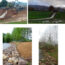 土壤和水中生物工程——可持续erosion solutions for the Mediterranean