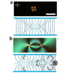 AoS. Cosmology in a cell: Defect annihilation in liquid crystals