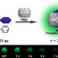 Ultralong room-temperature phosphorescence of a solid-state supramolecule