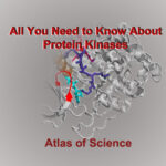 AoS.All You Need to Know About Protein Kinases